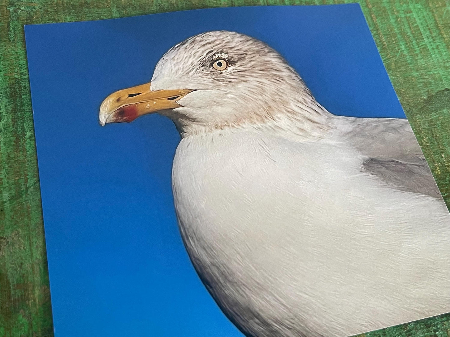 Seagull card, recycled card, birthday card, recycled card. Eco friendly card. Handmade card. Unusual Thank you card, blank gift card, bird