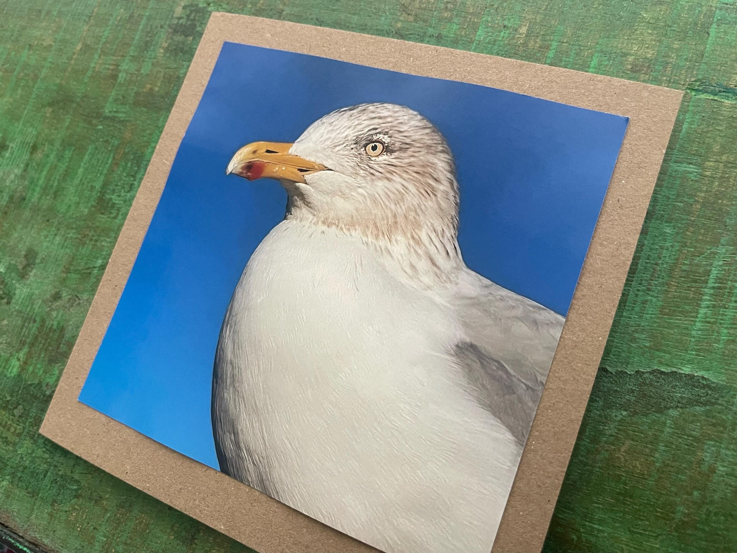 Seagull card, recycled card, birthday card, recycled card. Eco friendly card. Handmade card. Unusual Thank you card, blank gift card, bird