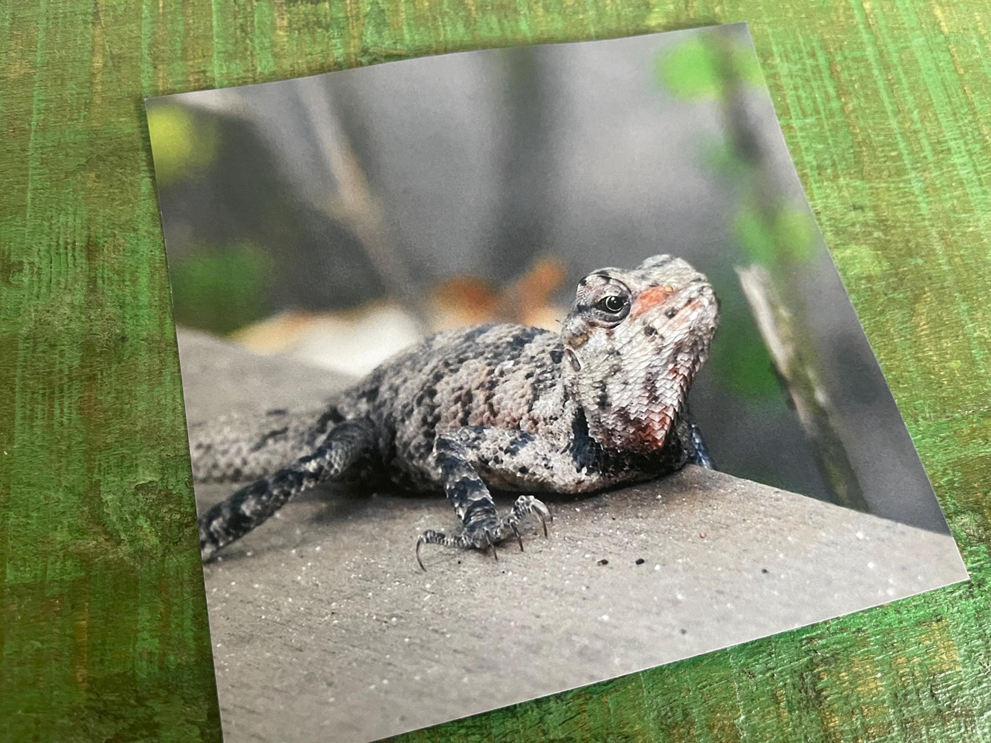 Ghecko card, recycled card, birthday card, lizard card. Eco friendly card. Handmade card. Unusual Thank you card, blank card. Wildlife cards
