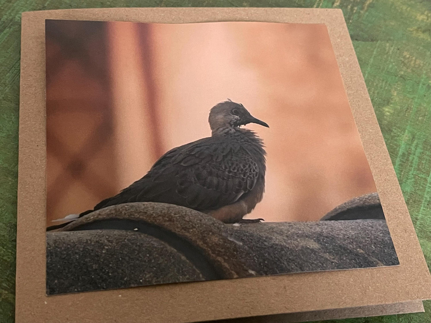 Pidgeon card, recycled card, birthday card, pink bird card. Eco friendly card. Handmade card. Unusual thank you card, blank gift card