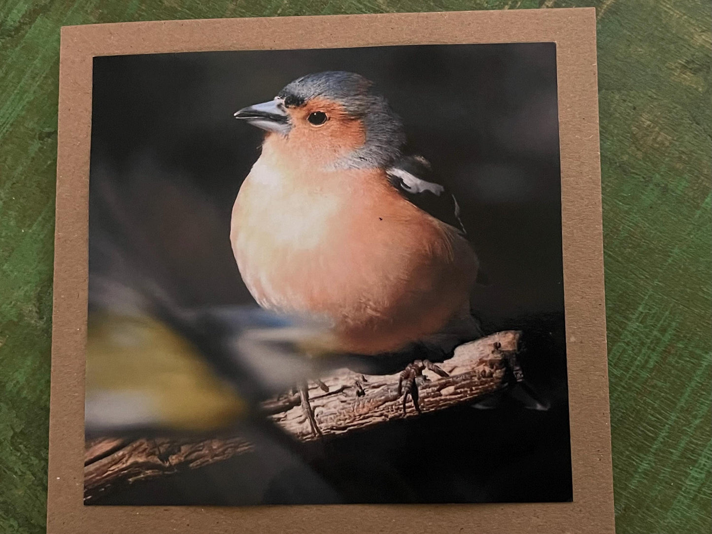 Chaffinch card, recycled card, birthday card, English bird card. Eco friendly card. Handmade card. Unusual Thank you card, blank gift card