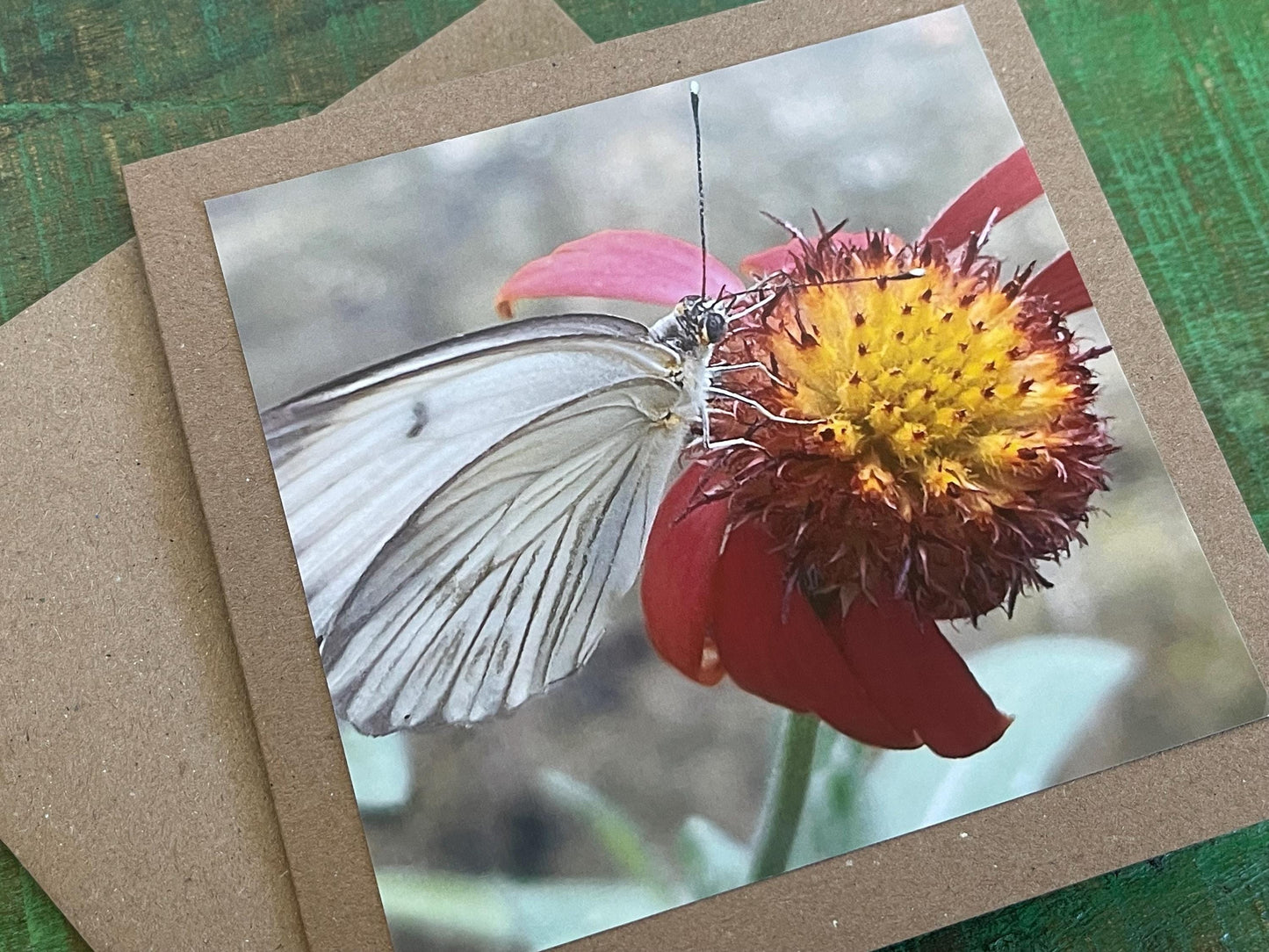 White butterfly card, recycled card, birthday card, wildlife card. Eco friendly card. Handmade card. Unusual card, Thank you card, eco card
