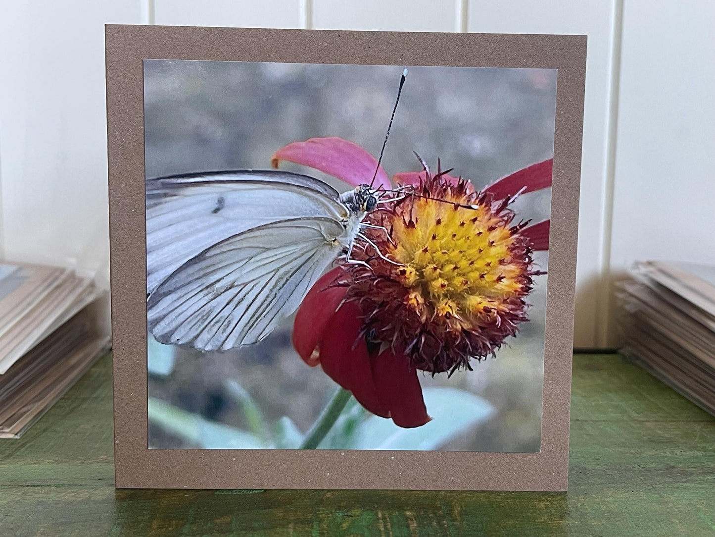 White butterfly card, recycled card, birthday card, wildlife card. Eco friendly card. Handmade card. Unusual card, Thank you card, eco card