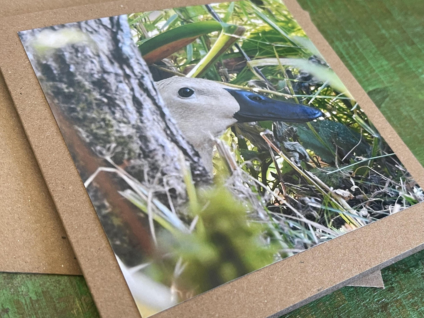 Puddle duck card, bird card, nature card, handmade card, photo card, thank you card. Easter card, birthday card. Blank gift card, wildlife