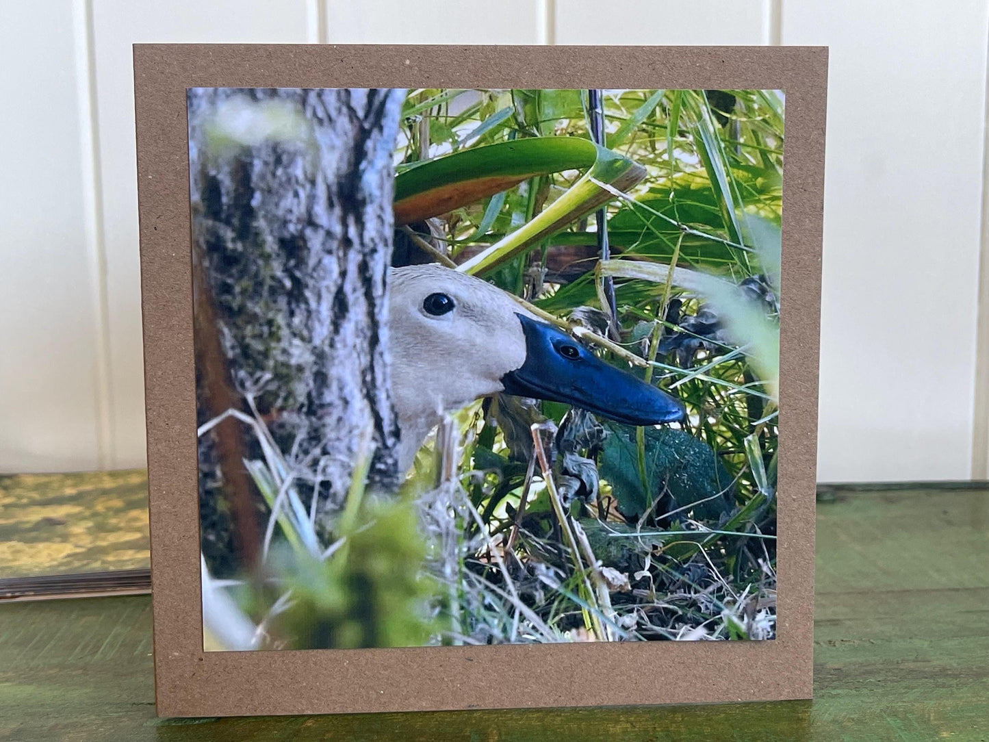 Puddle duck card, bird card, nature card, handmade card, photo card, thank you card. Easter card, birthday card. Blank gift card, wildlife