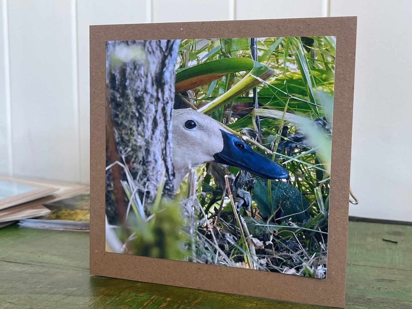 Puddle duck card, bird card, nature card, handmade card, photo card, thank you card. Easter card, birthday card. Blank gift card, wildlife