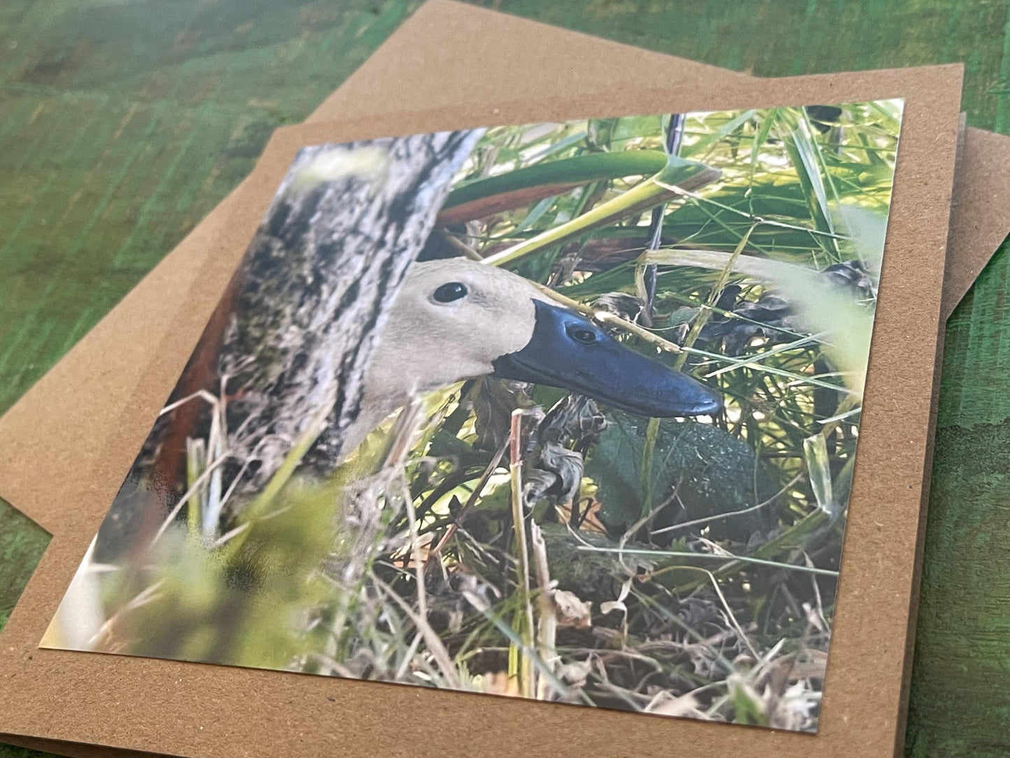 Puddle duck card, bird card, nature card, handmade card, photo card, thank you card. Easter card, birthday card. Blank gift card, wildlife