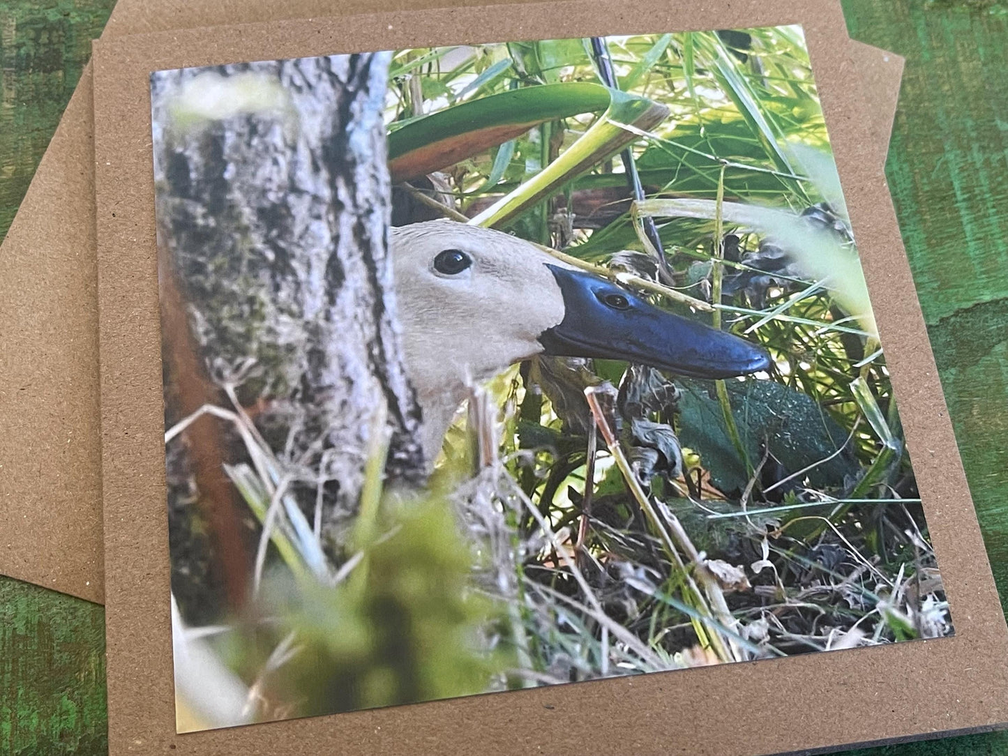 Puddle duck card, bird card, nature card, handmade card, photo card, thank you card. Easter card, birthday card. Blank gift card, wildlife