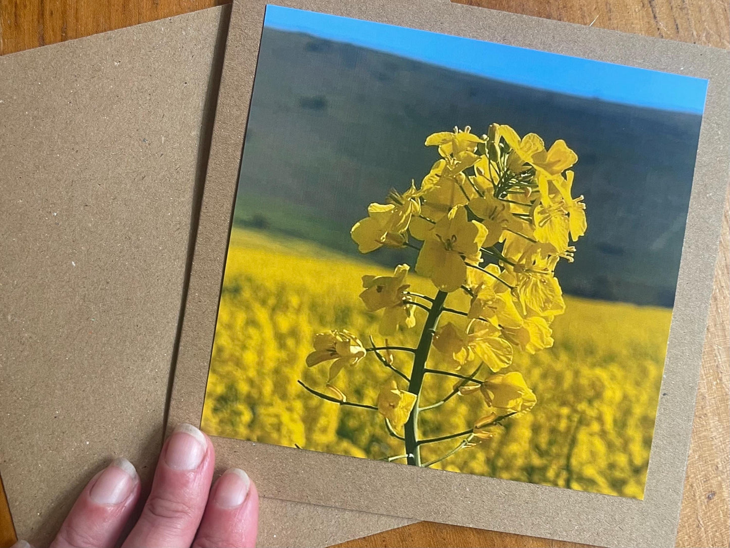Flower card, handmade card for her. Recycled card, boho eco friendly card. Thank you card for gardener, gift for her, echinacea card
