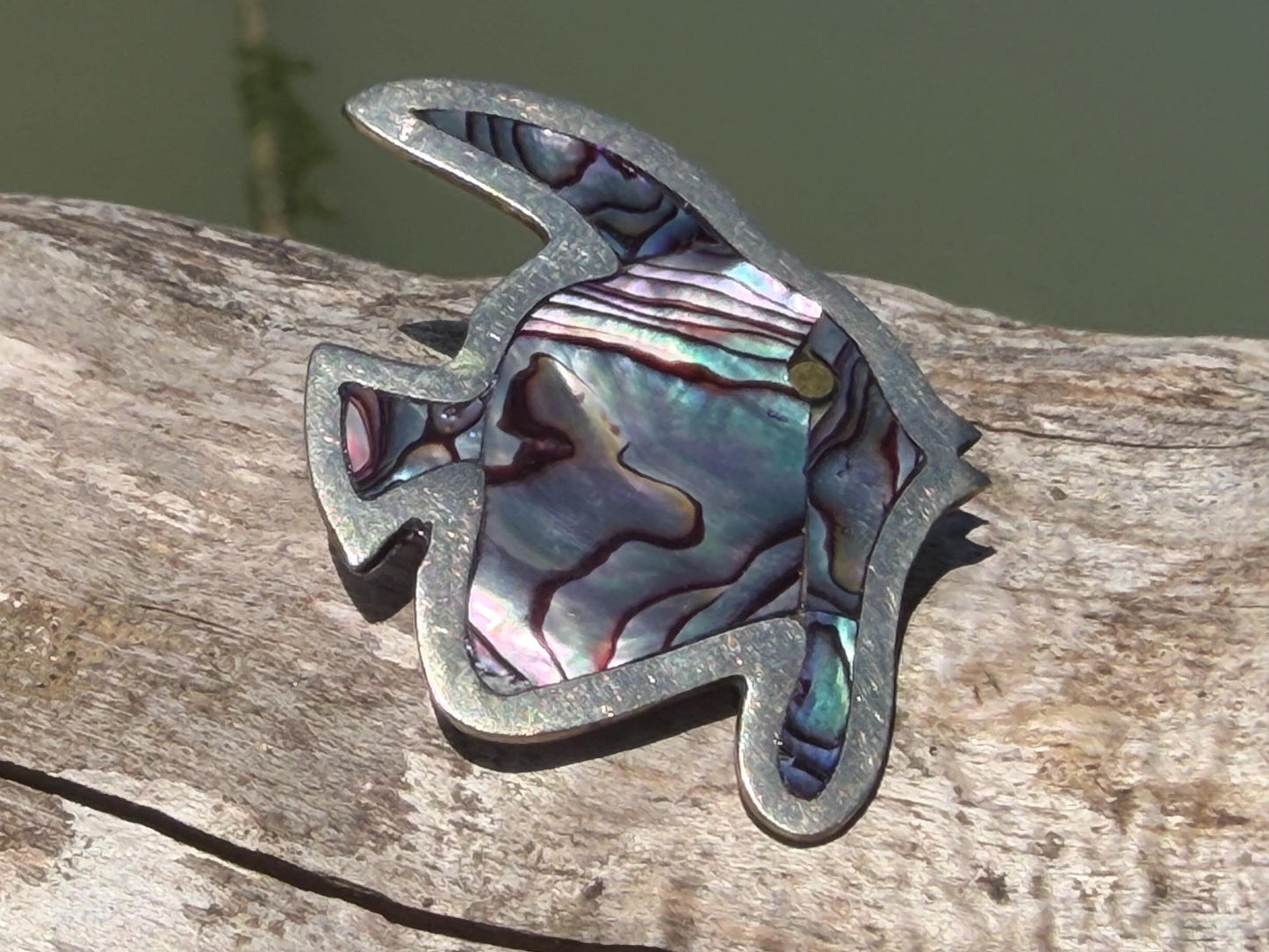 Vintage fish brooch. Stunning Abalone brooch. Eco friendly jewellery. Unusual ethical jewellery. Abalone jewellery. Unusual brooches.