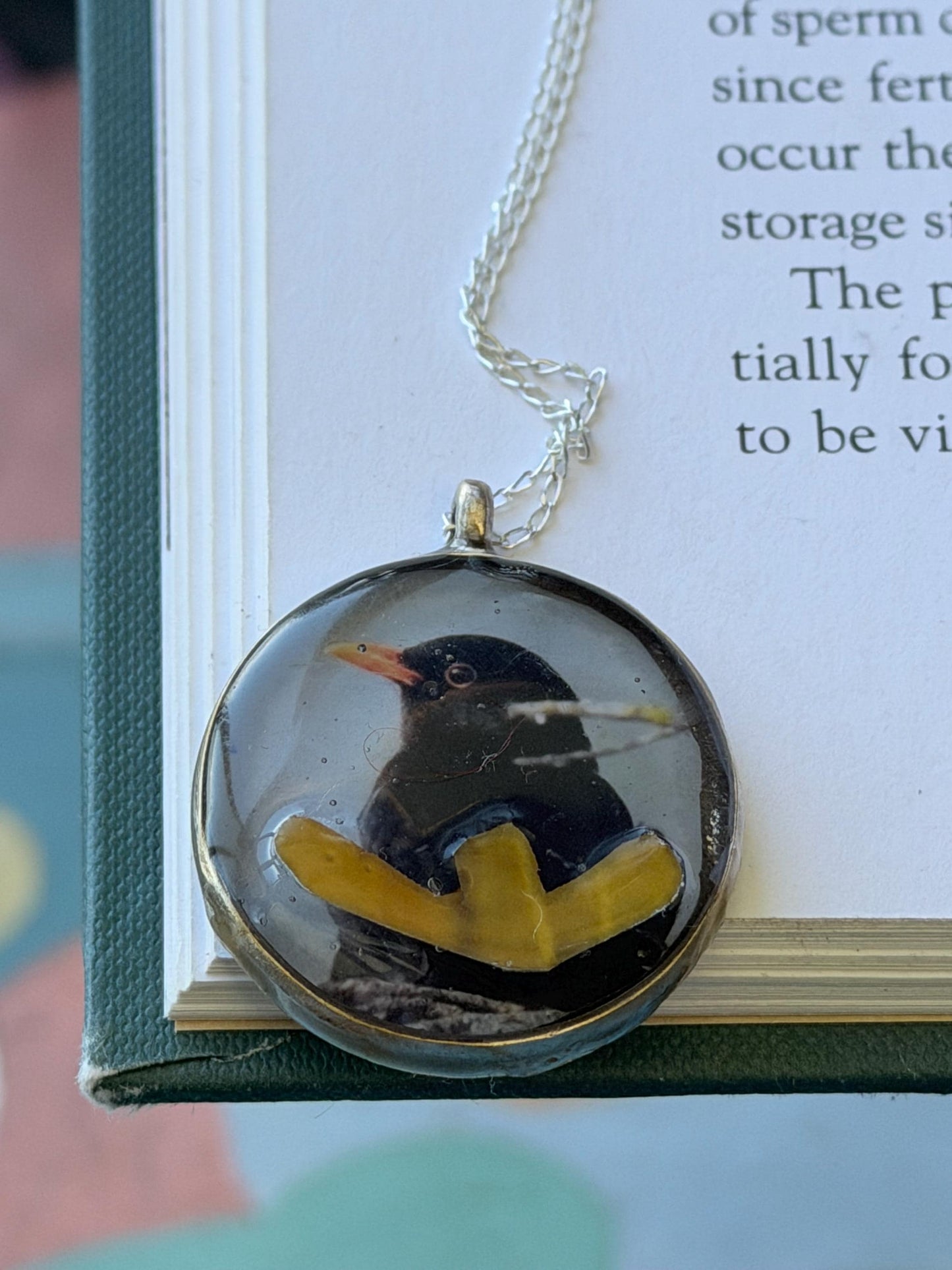 Blackbird necklace made with my own photo & recycled sterling silver. Eco friendly jewellery. Wildlife photography. Unique jewellery.
